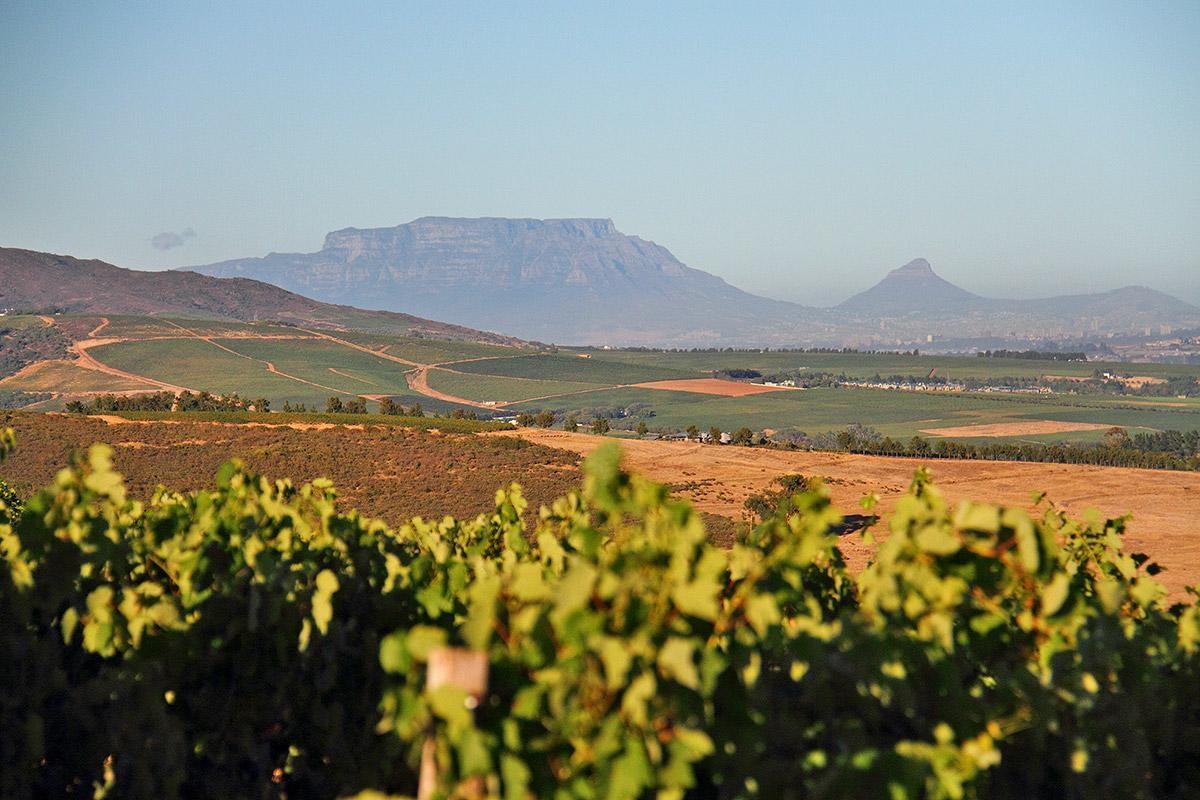 Muratie Wine Estate Стелленбос Екстер'єр фото