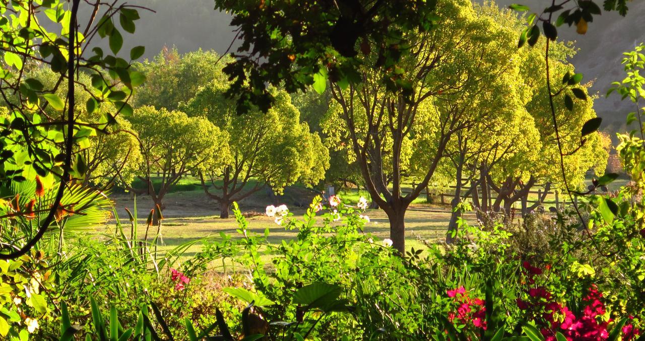 Muratie Wine Estate Стелленбос Екстер'єр фото